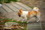 IMG_2680ab