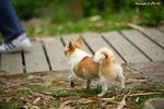 IMG_2682ab