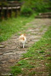 IMG_2685ab
