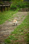 IMG_2686ab