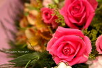 IMG_0030ab