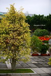 IMG_0362ab