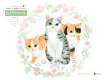 Cats%20Wallpaper%20003[1]