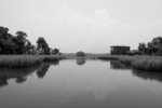 IMG_0369A