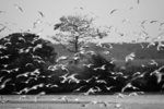 IMG_4807A