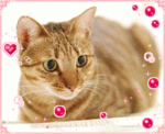 �جP�ߡ�BallBall