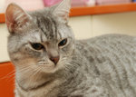 �J�J - 8