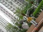 DSC03287