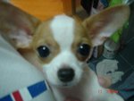 DSC04113