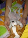 DSC05479