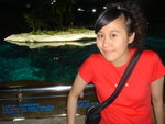 DSC09004