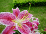 IMGP9812