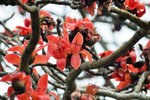 ADSC_0611