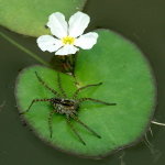 A158_resize