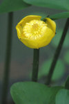 DSC_0530A