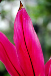 ADSC_0304
