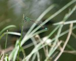 ADSC_0844