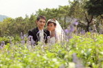 MCY_0133_�վ�j�p