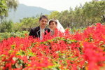 MCY_0141_�վ�j�p