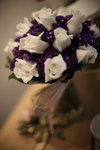 MCY_0017_�վ�j�p