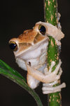 DSF_7360