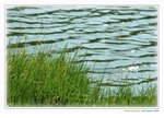 DSC_9322R