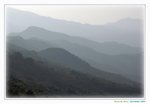 DSC_9421R