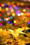 DSC_1050_filtered