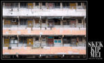DSC_9667 copy