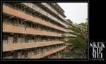 DSC_9671 copy