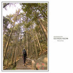 到黃石寨山頂,上山的石級點小得!!!