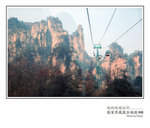 張家界.楊家界.天子山索道
$60單程