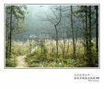 張家界.楊家界.十里畫廊