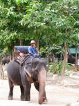 2008_Bangkok_Samui_28