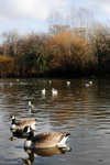 DSC_0790_copy