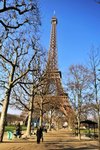 DSC_1013_copy