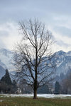DSC_1518_copy