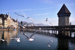 DSC_1756_copy