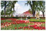 Peterhof Palace  DSC_0655