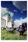 Sergiyev Posad DSC_0138