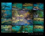 1. Sichuan print (1) - 8R