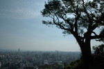 0008 Town of Kagoshima 城山公園