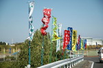 0071 misc on the way