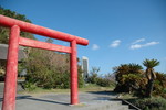 0125 長崎鼻