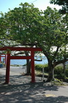 0129 長崎鼻