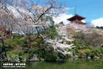 Kyoto_KiyomizuTemple_清水寺_DSC_1039