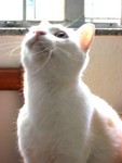 IMG_0157