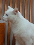 IMG_0185