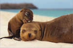 pic00875