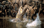 pic06962